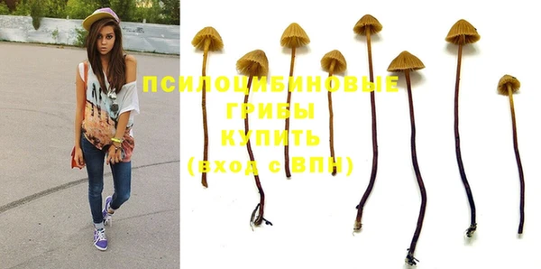гидра Бугульма