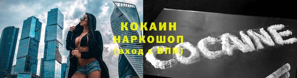 молекула духа Бронницы