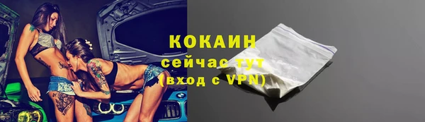 2c-b Бородино