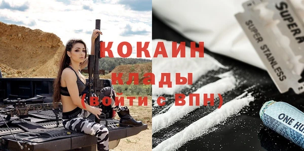 2c-b Бородино