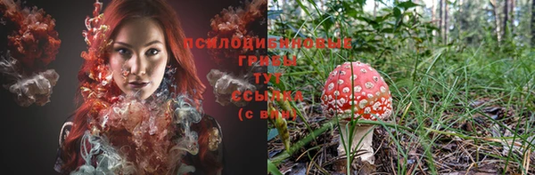 молекула духа Бронницы