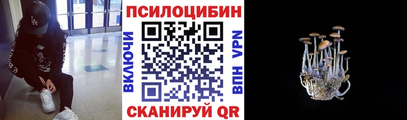 Галлюциногенные грибы GOLDEN TEACHER Гудермес